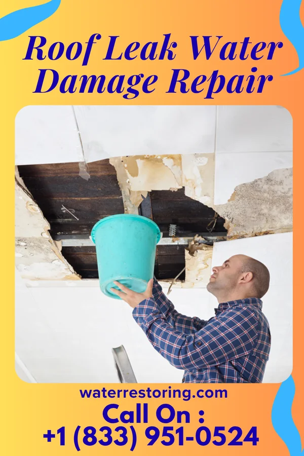 Roof Leak Water Damage Repair in East Pecos, NM