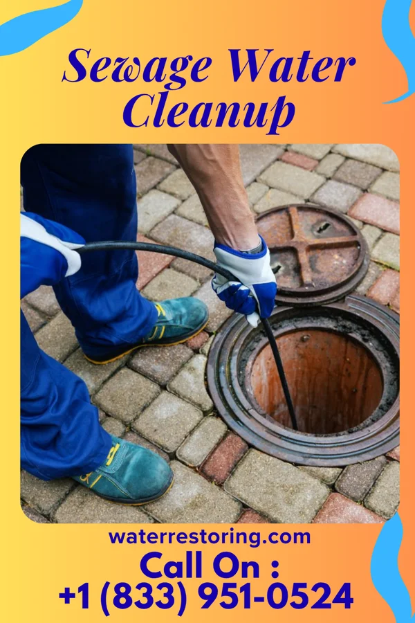 Sewage Water Cleanup in East Pecos, NM
